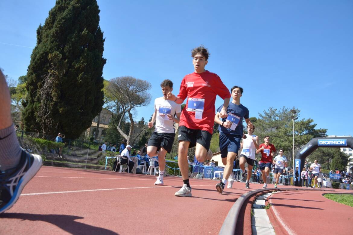 713il-1000-di-miguel.jpg