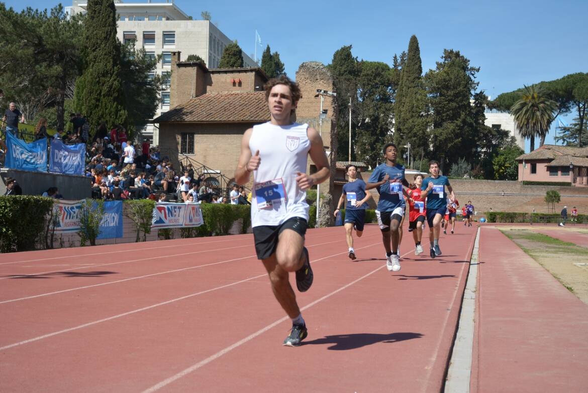 755il-1000-di-miguel.jpg