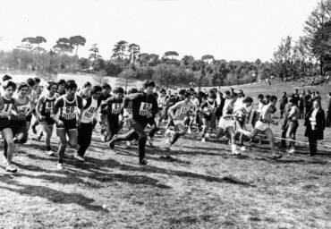 Corri per il verde: vade retro cemento