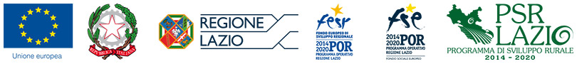 logo-regione-lazio-completo.jpg