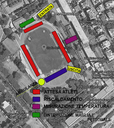 stadio.jpg